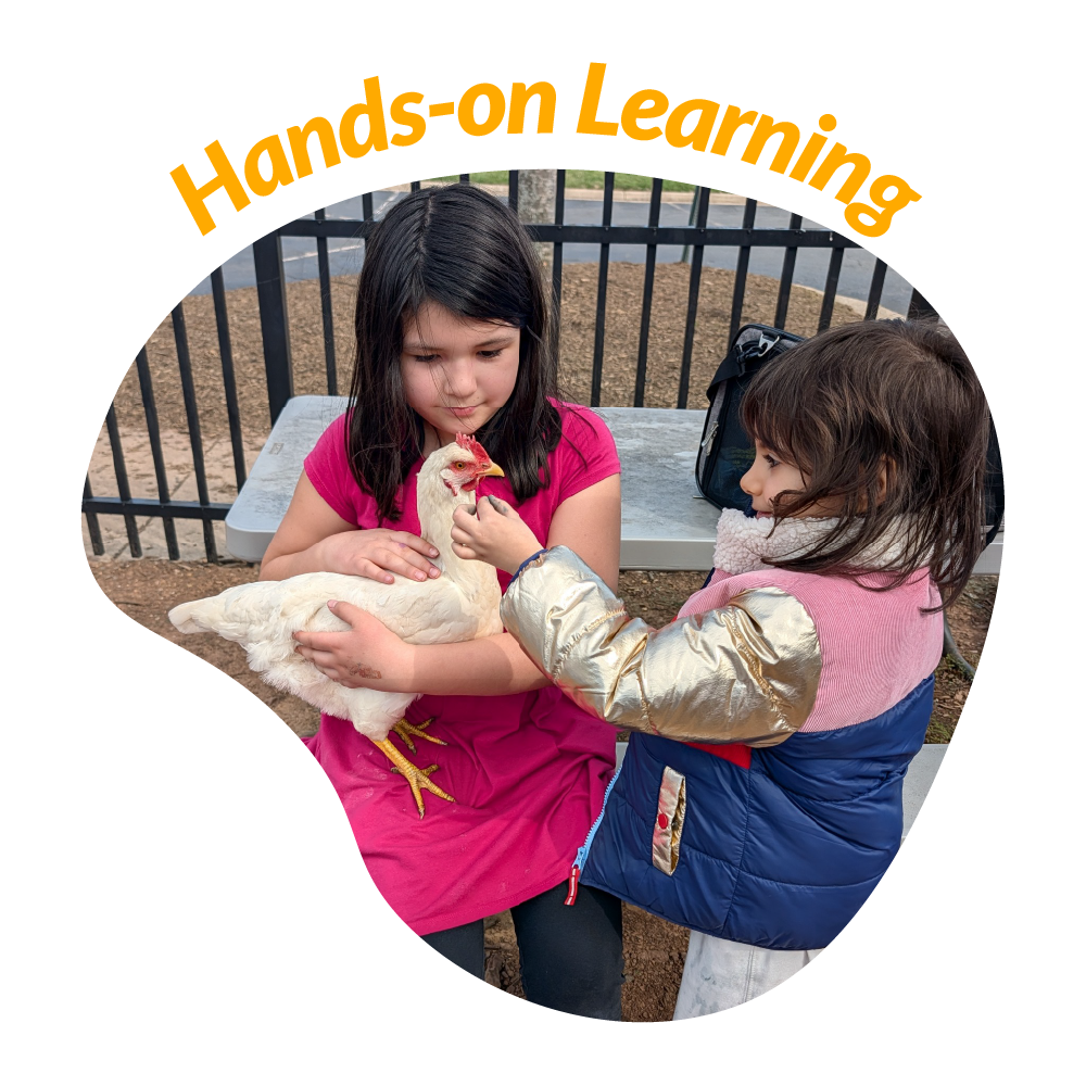 4- Hands-on Learning